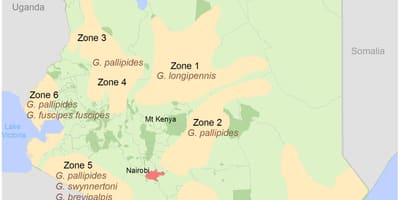 Kenya institut for landmåling og kortlægning kurser
